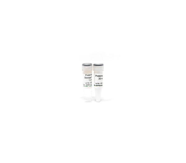 Proteinase K w/ Storage Buffer Set